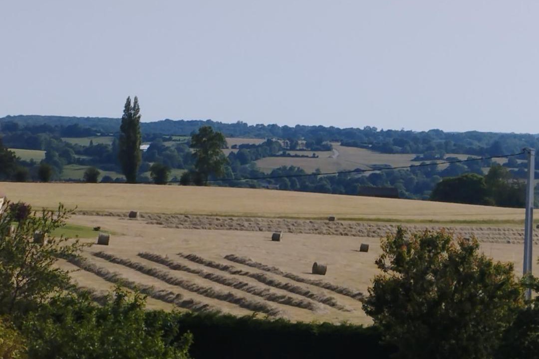 Photo of Others in Glos