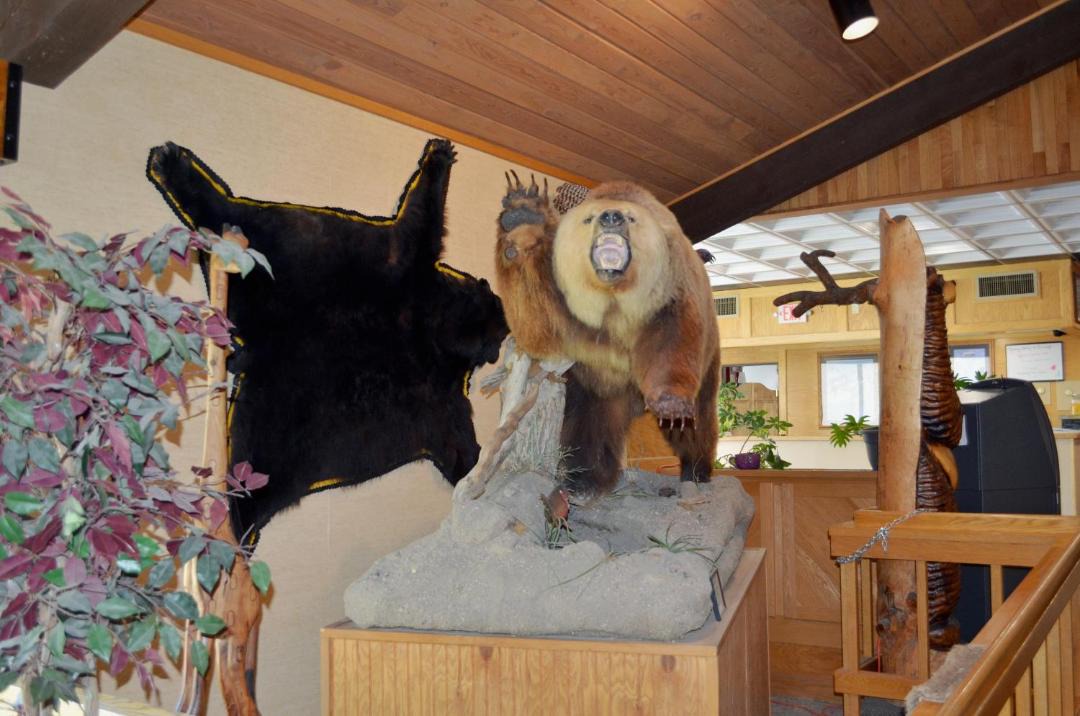 Photo of Others in Thermopolis