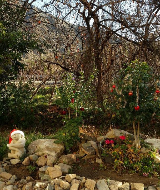 Photo of Outdoor in Embid de la Ribera