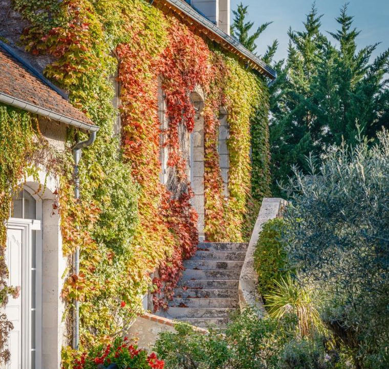 Photo of Others in Feings