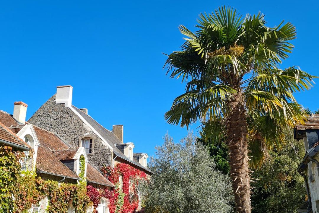 Photo of Others in Feings