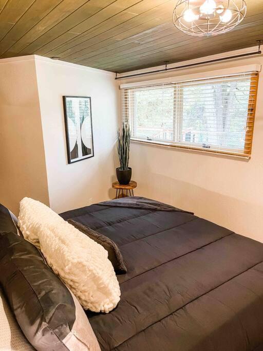 Photo of Others in Bristol