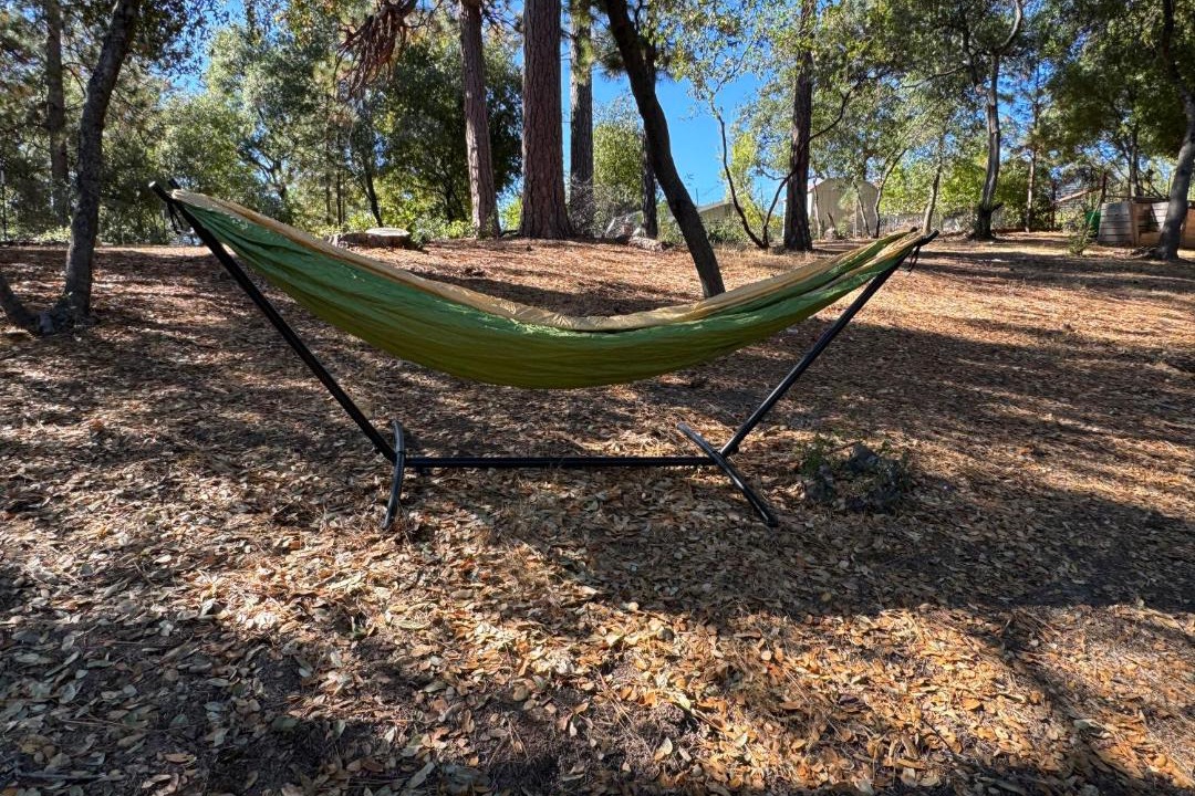 Photo of Others in Murphys