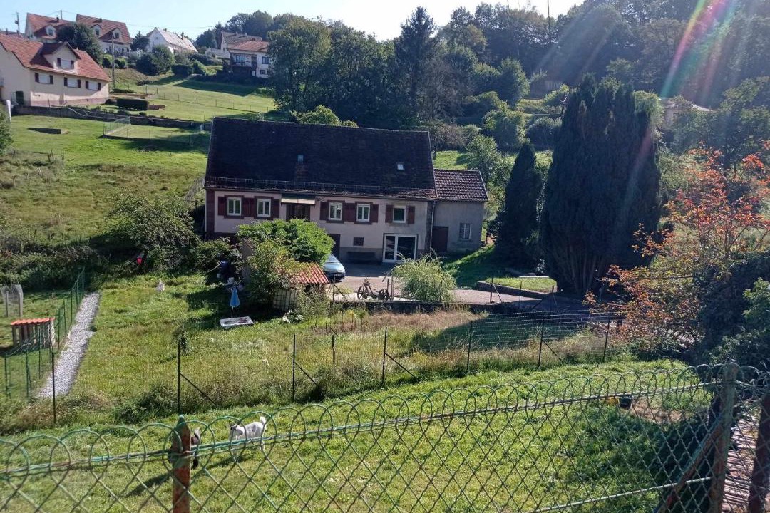 Photo of Others in Meisenthal
