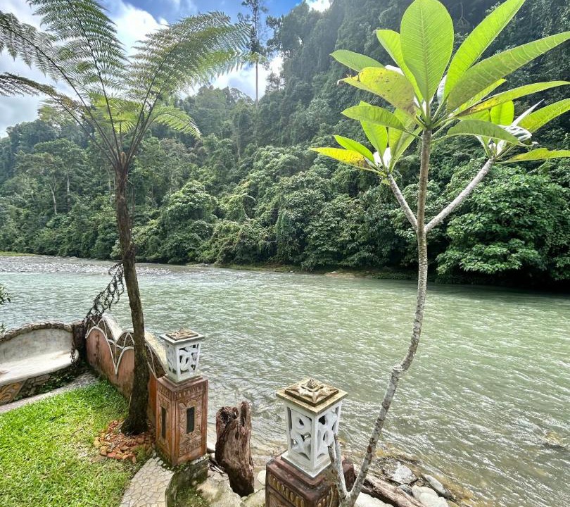 Photo of Others in Bukit Lawang