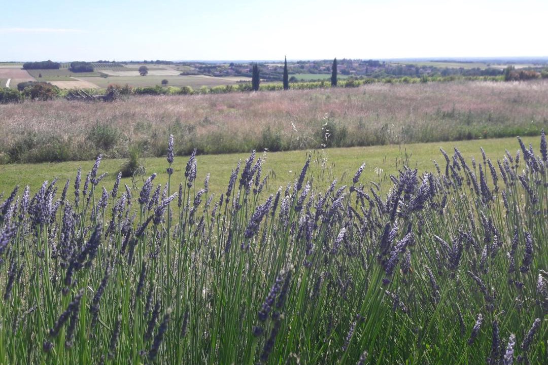 Photo of Others in Mareuil
