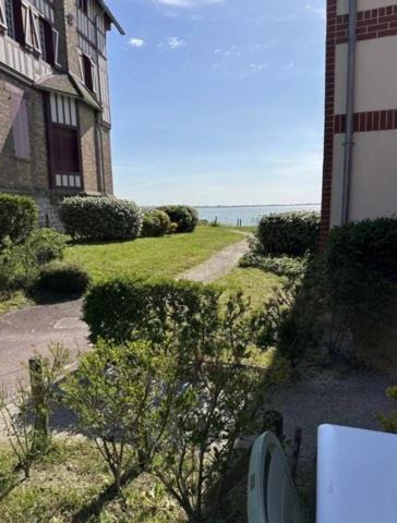 Photo of Others in Le Crotoy