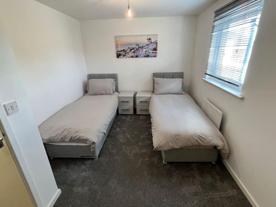 Photo of Others in Rugby