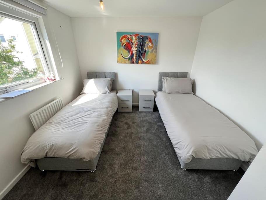 Photo of Others in Rugby