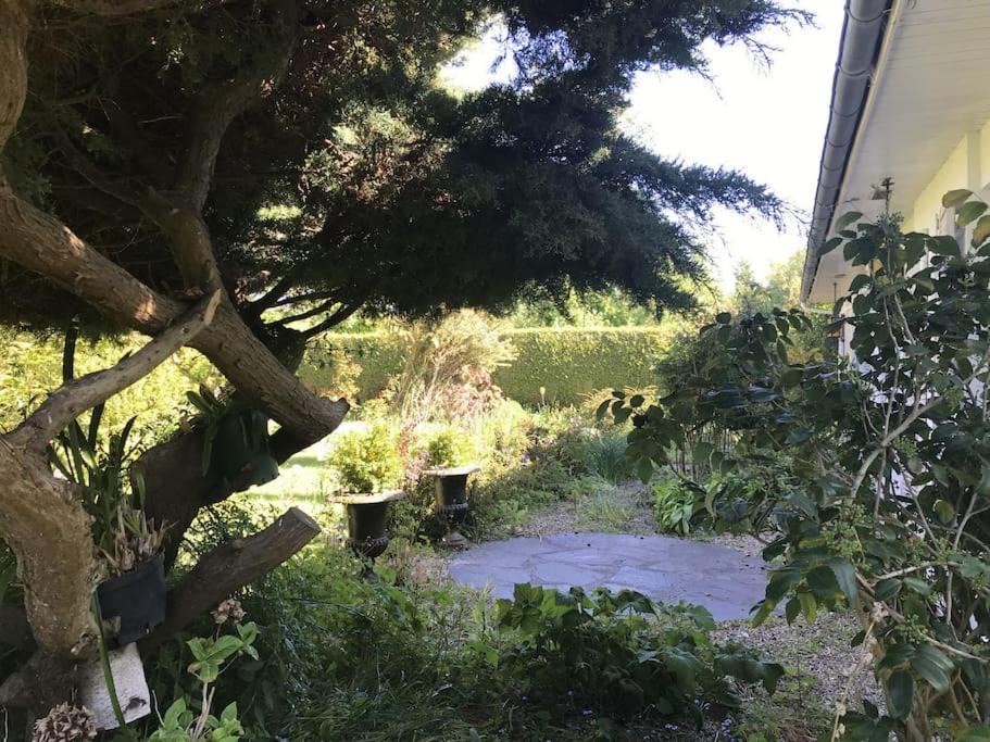 Photo of Others in Sauqueville