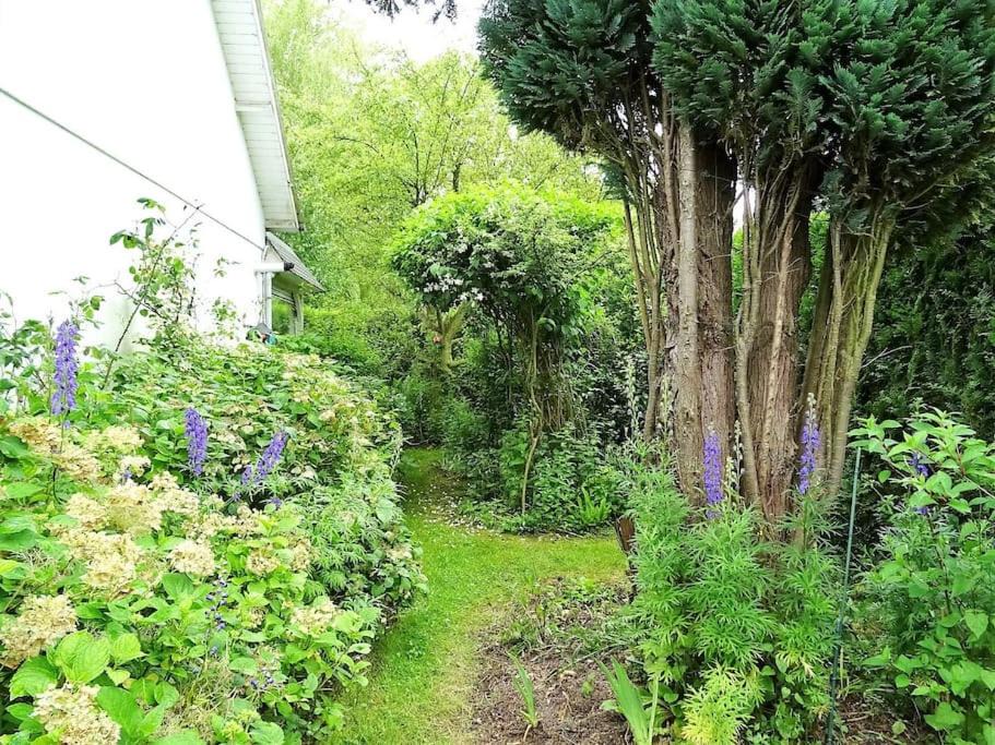 Photo of Others in Sauqueville