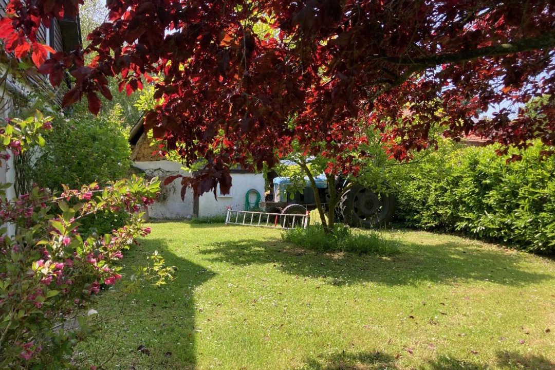 Photo of Others in Longueil