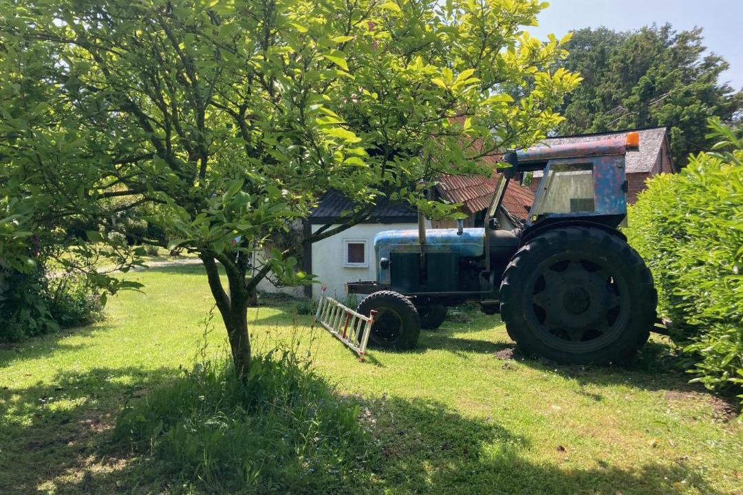 Photo of Others in Longueil