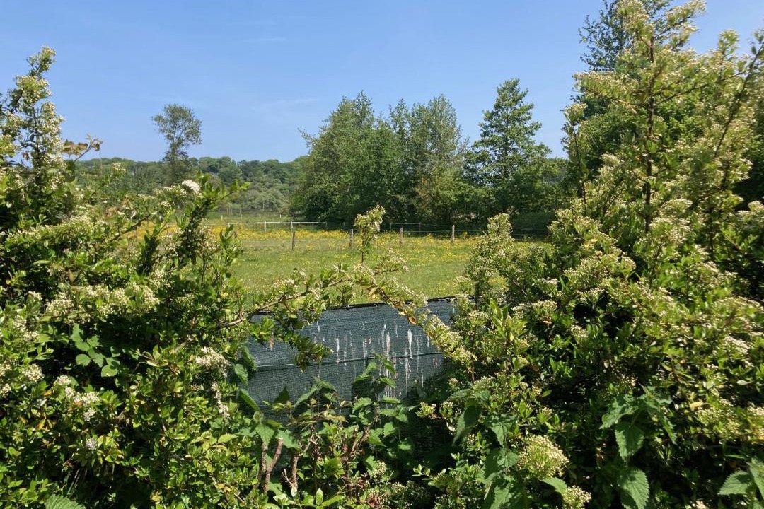 Photo of Others in Longueil