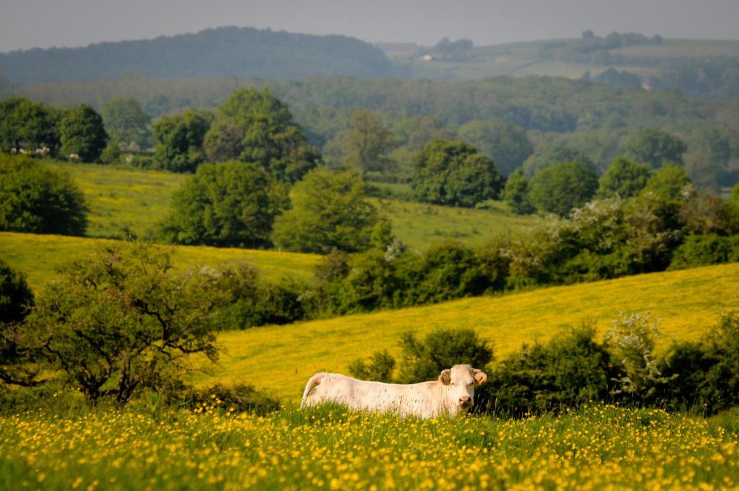 Photo of Others in Vitry-Lache