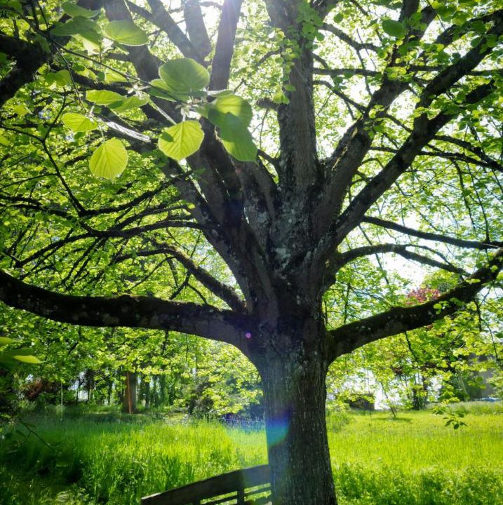 Photo of Others in Vitry-Lache