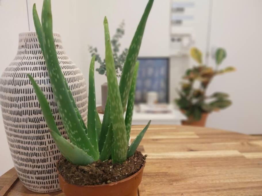 Photo of Others in Terreaux - Bat d'argent