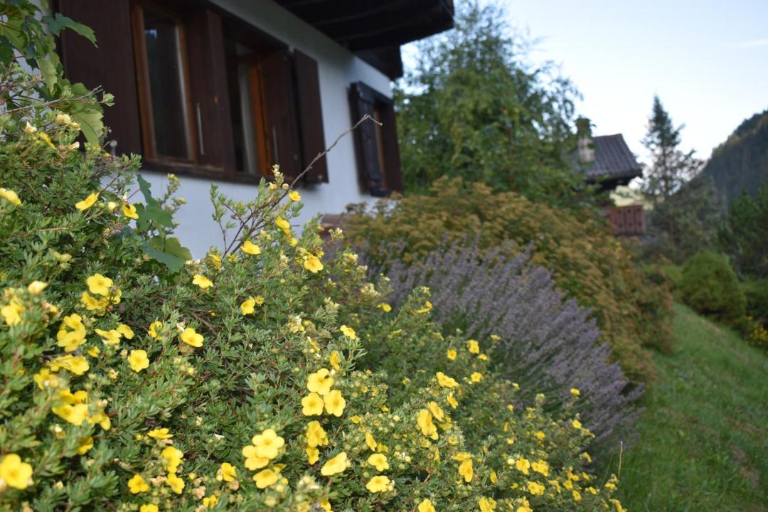 Photo of Others in Morgins