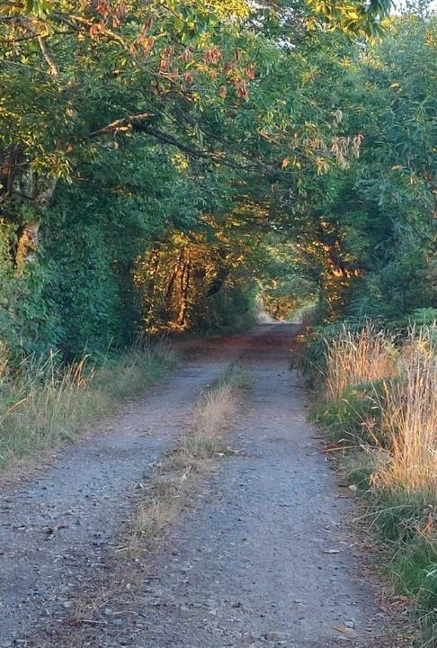 Photo of Others in Preveranges