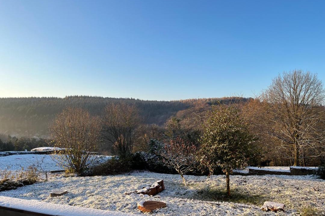 Photo of Others in Phalsbourg