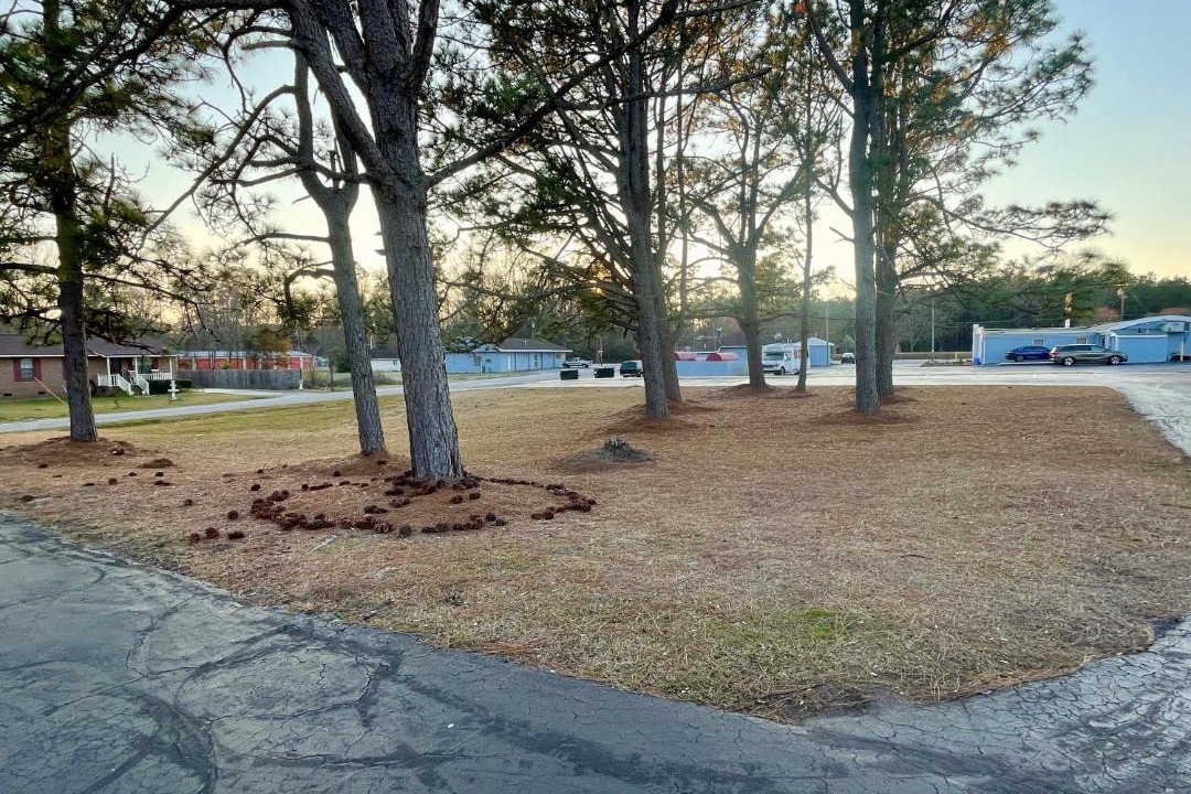Photo of Others in Mullins