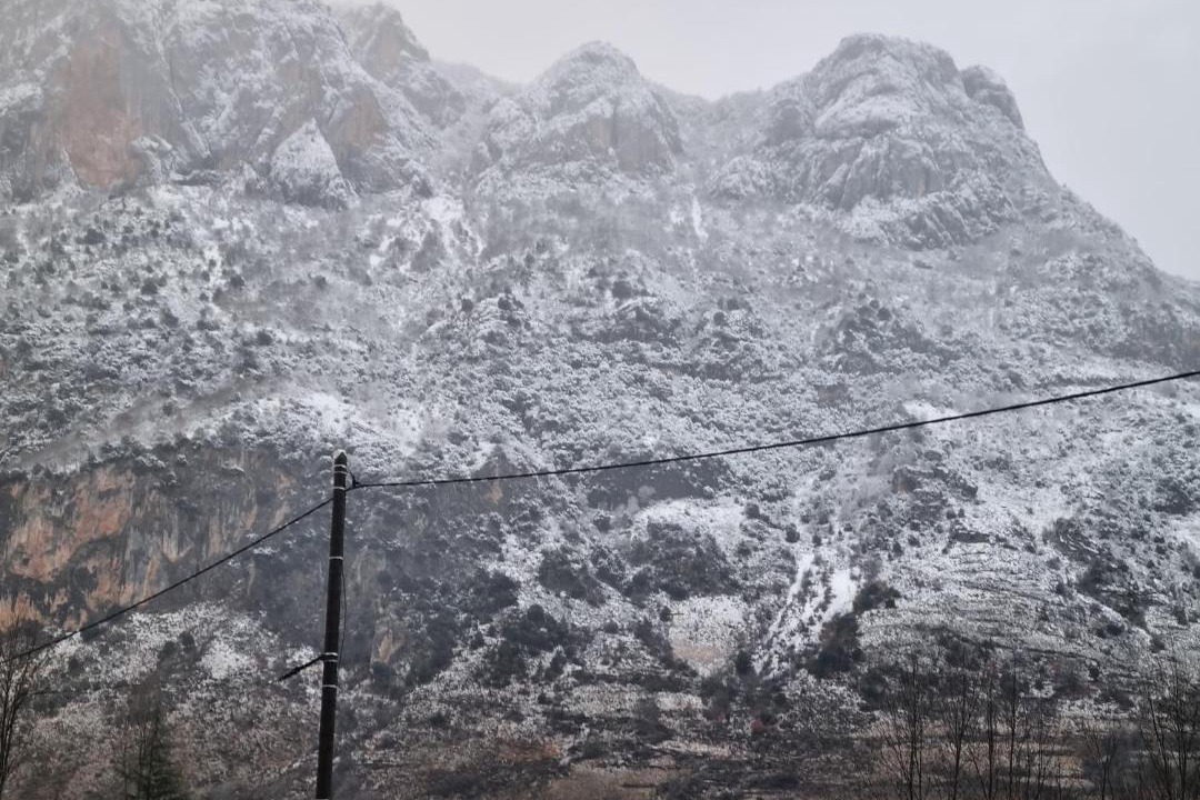 Photo of Others in Aulos