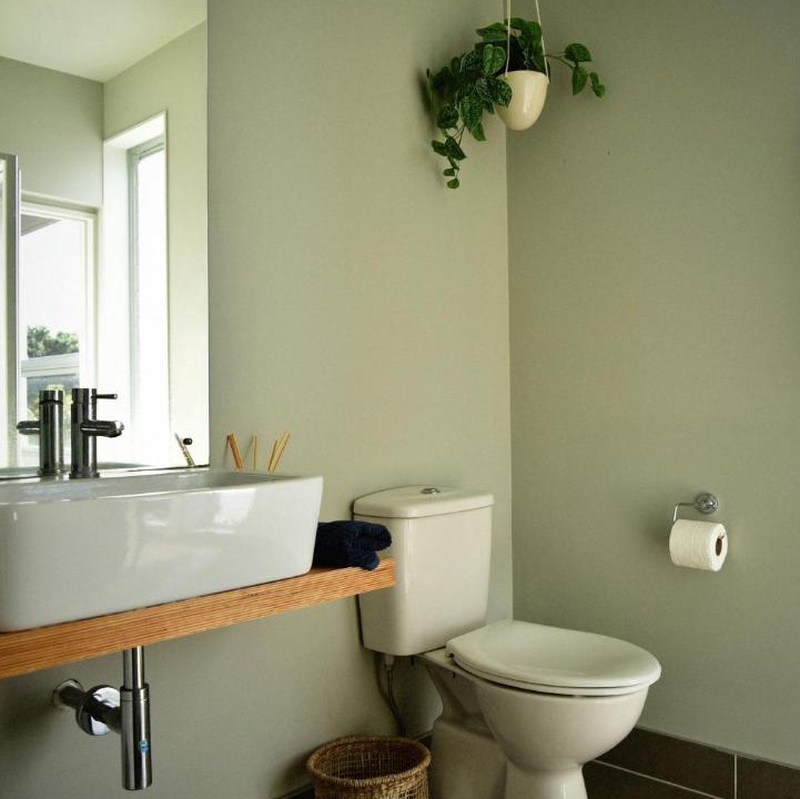 Photo of Others in Whangapoua