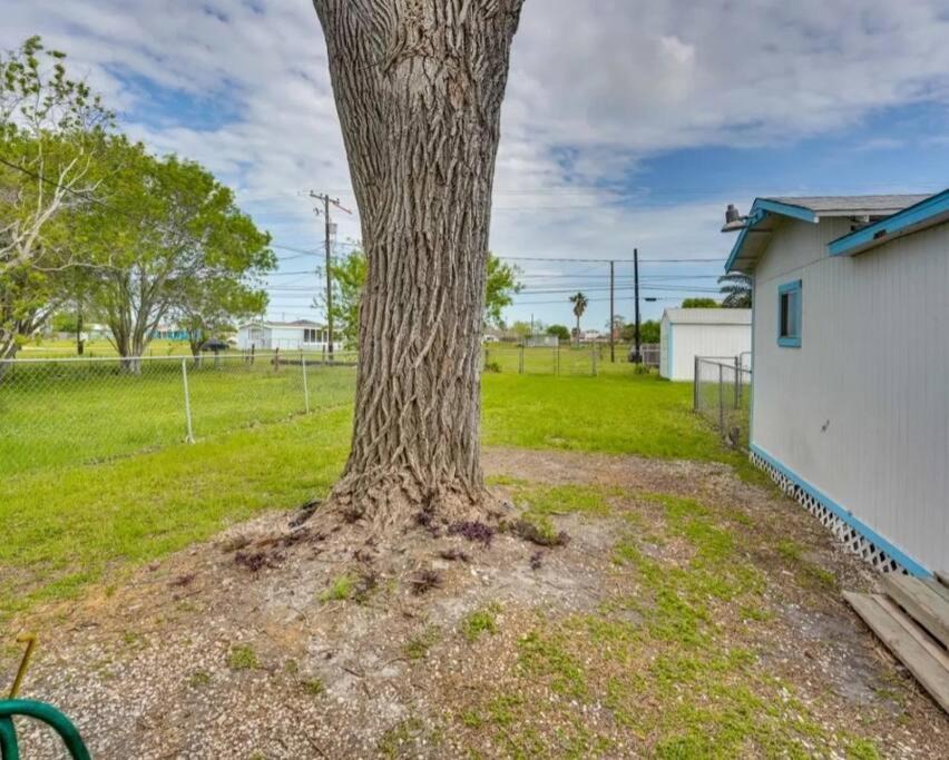 Photo of Others in Aransas Pass