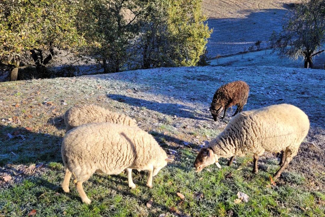 Photo of Others in Monclar-de-Quercy