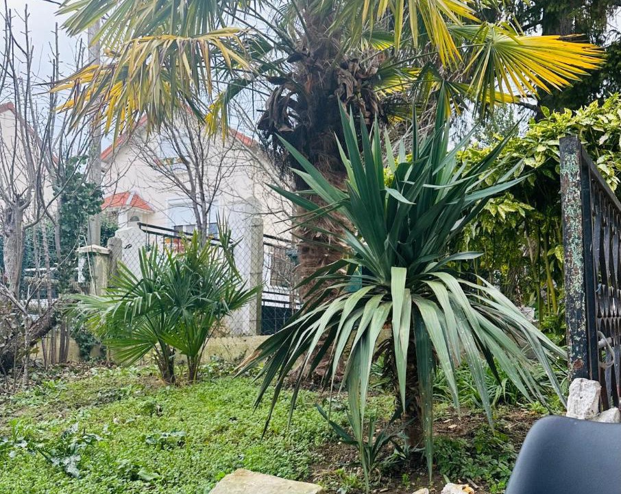 Photo of Others in Argenteuil