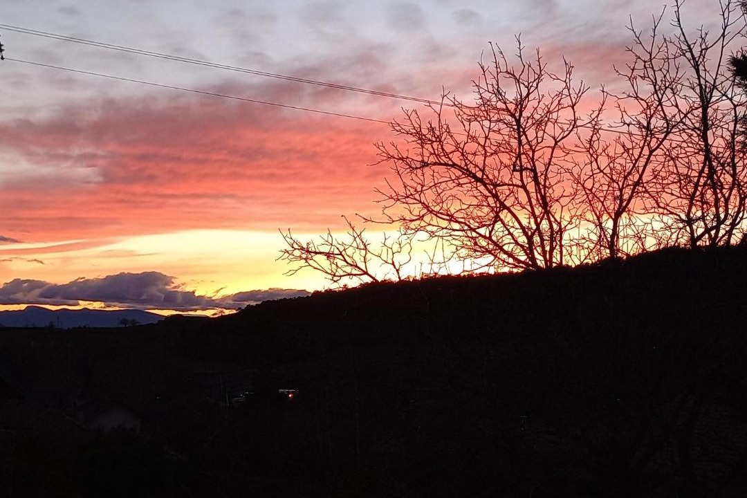 Photo of Others in Jarjayes