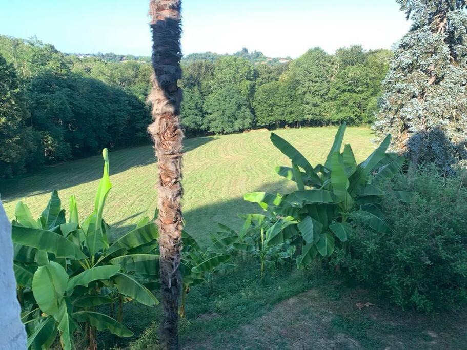 Photo of Others in Jurancon