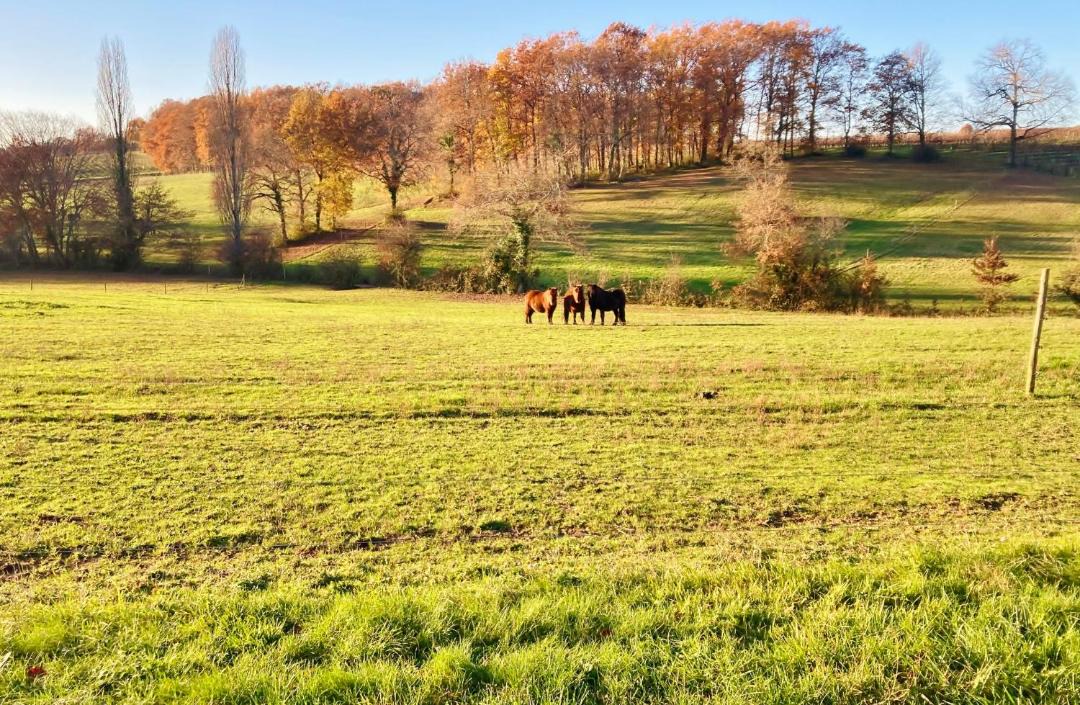 Photo of Others in Esclottes