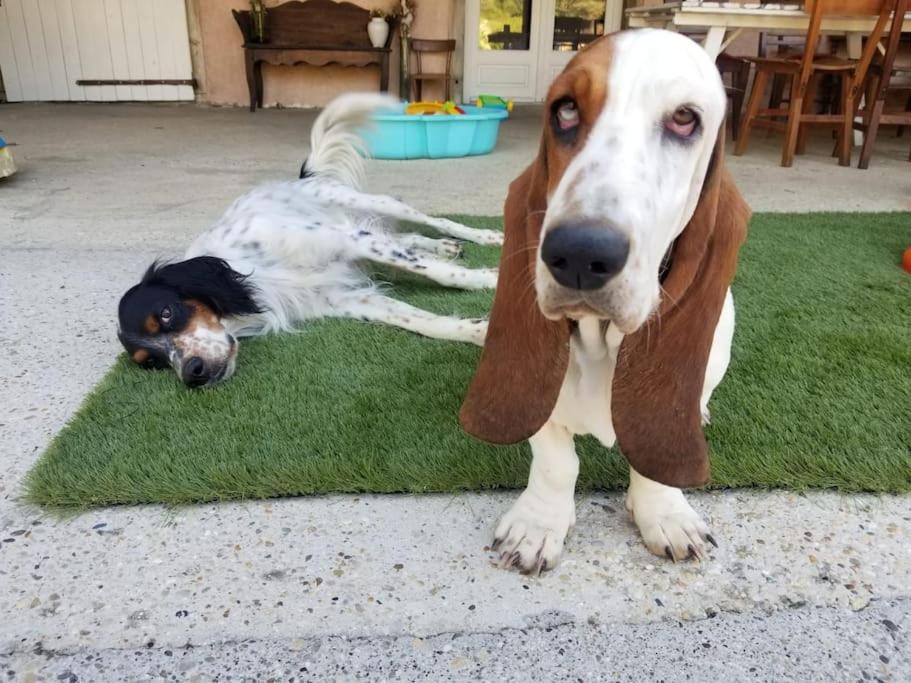 Photo of Others in Marboz