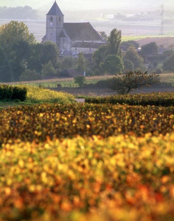 Photo of Others in Bligny