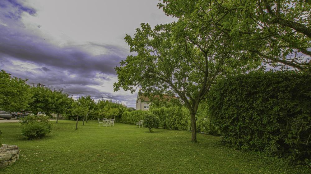 Photo of Others in Saint-Lye