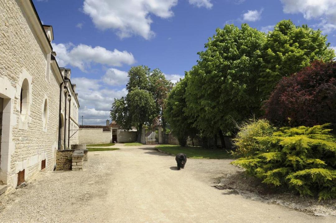 Photo of Others in Les Riceys