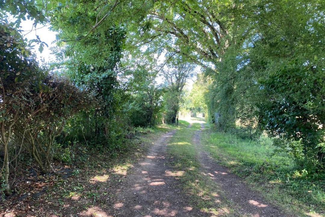 Photo of Others in Bannegon