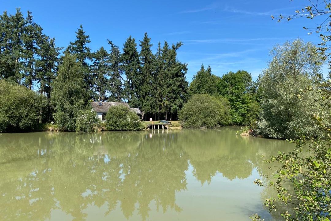 Photo of Others in Bannegon