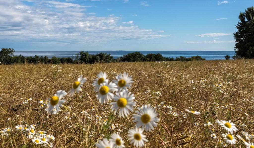 Photo of Others in Listed