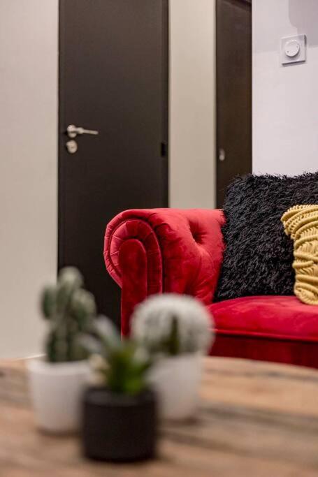 Photo of Others in Old Lyon