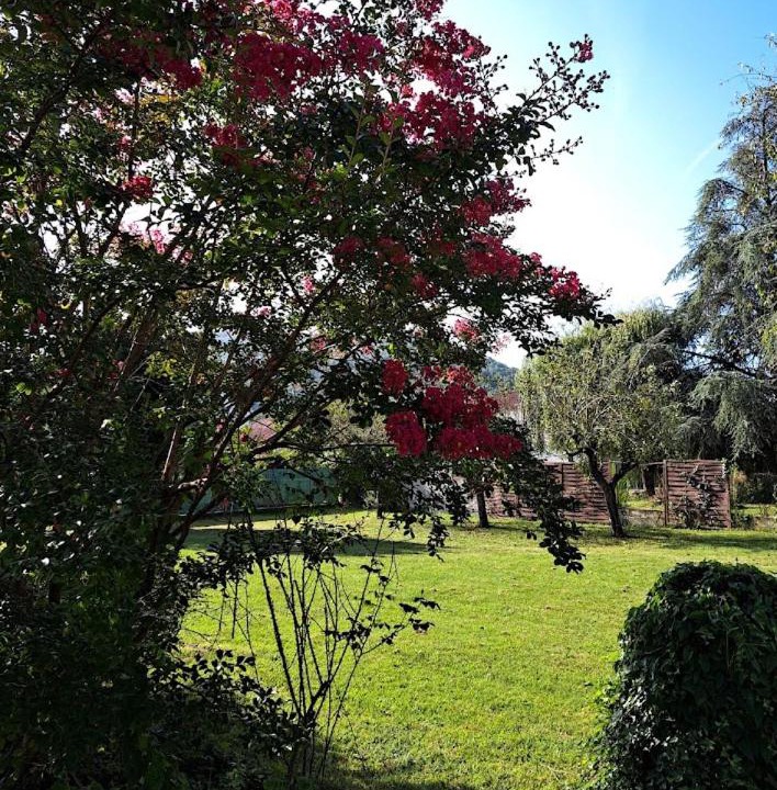 Photo of Others in Laroque-d'Olmes