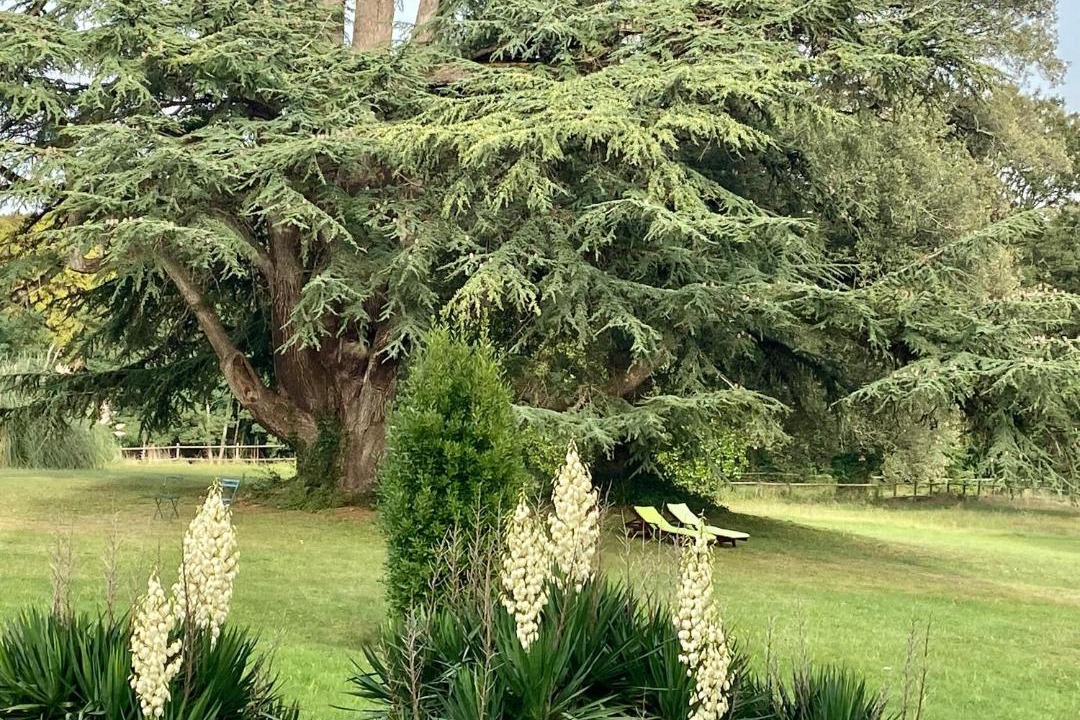 Photo of Others in Tierce