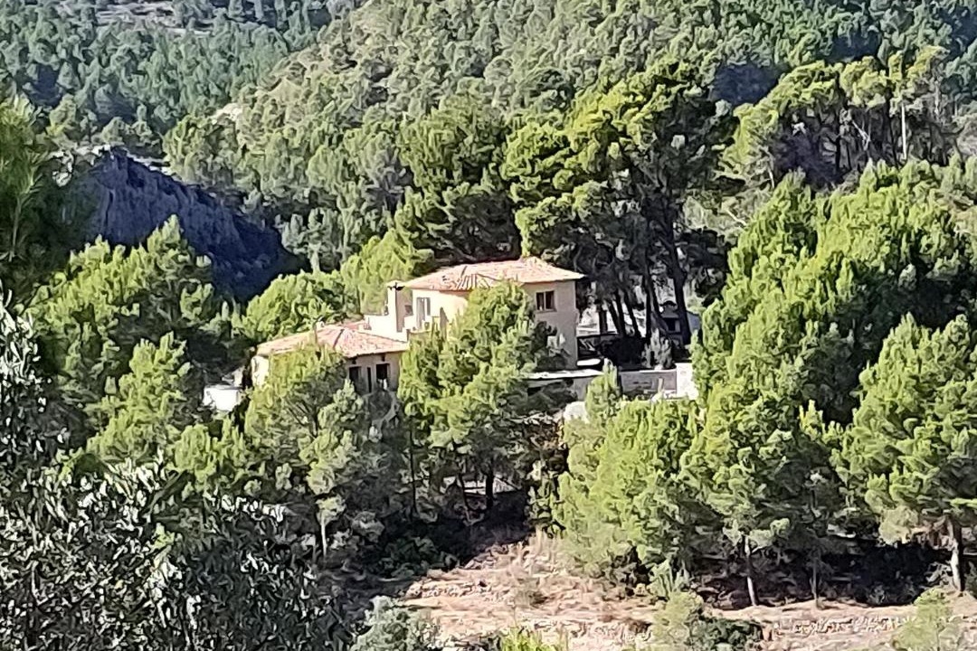 Photo of Others in Callosa d' En Sarria