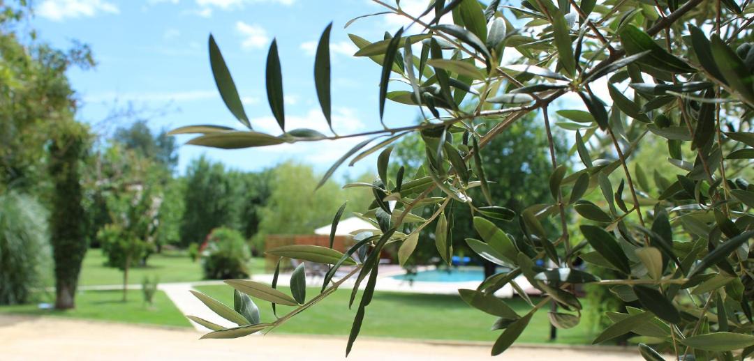 Photo of Others in Saint-Victor-de-Malcap