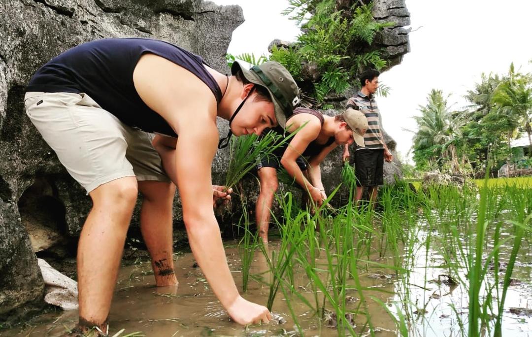 Photo of Others in Bantimurung