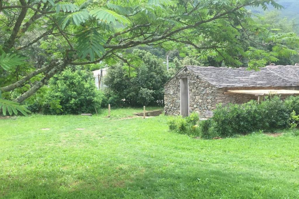 Photo of Others in Sisco