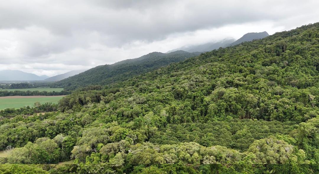 Photo of Others in Aloomba