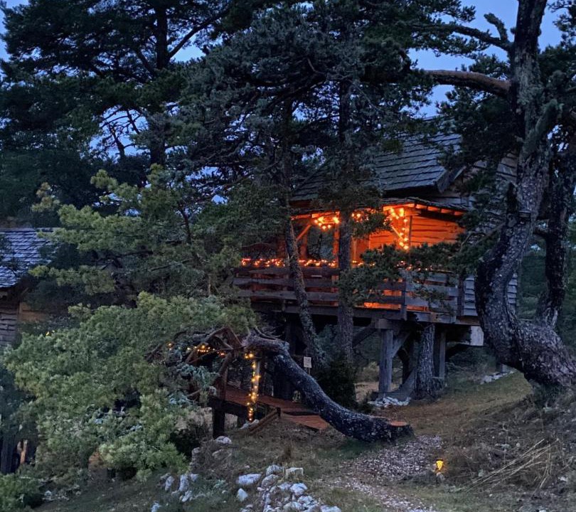 Photo of Others in Caille