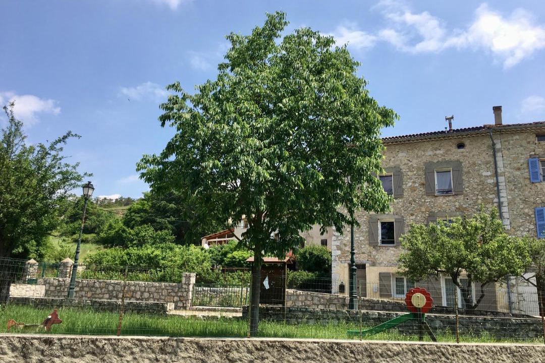 Photo of Others in Comps-sur-Artuby